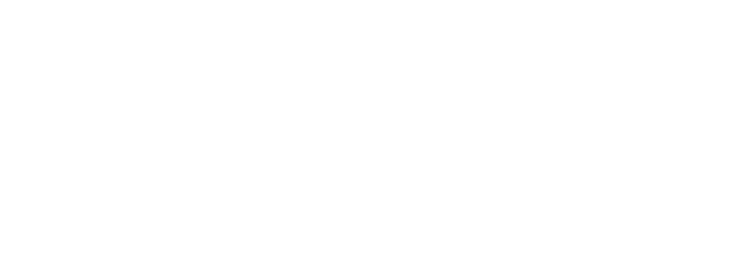 FUNDACION PUENTES DE SOLIDARIDAD TALIA ANGULO